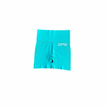 Aqua Blue Ribbed Seamless Shorts
